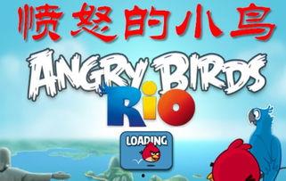 飞瓜找热门音乐,潮流旋律，引领听觉盛宴