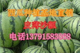 今日西沙瓜价格,市场行情一览