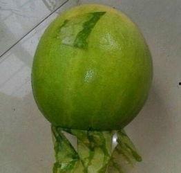 九一今日吃瓜事件,揭秘网络舆论的狂欢与反思
