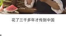 娱乐圈 吃瓜 涨知识,涨知识必备的娱乐圈揭秘