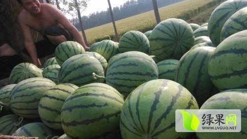 营口最新吃瓜热门事件,最新吃瓜热门事件，揭秘背后真相！