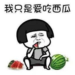 娱乐圈的瓜在哪吃,揭秘明星幕后故事！