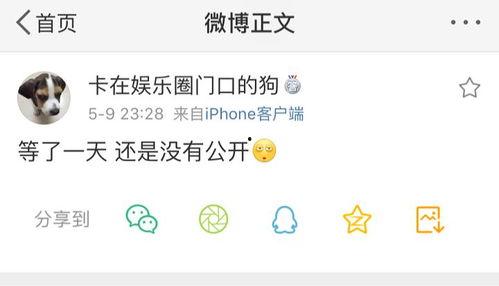 718吃瓜爆料永不打烊,永不打烊，揭秘娱乐圈幕后风云