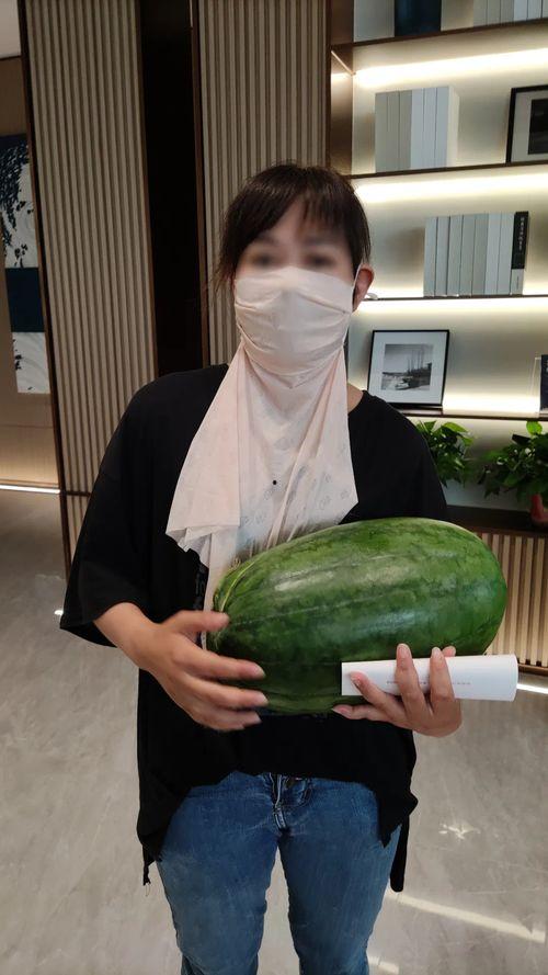 51热门今日大瓜,揭秘娱乐圈最新热点事件