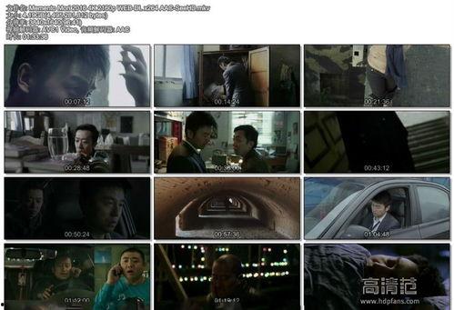 记忆碎片高清在线观看,高清在线重温，碎片拼接中的情感迷宫