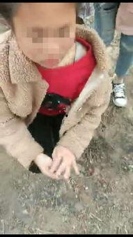 河北女生爆料视频大全最新,揭秘校园生活背后的真实故事