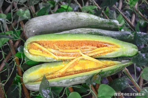 甘肃陇南网红吃瓜,甘肃陇南特色美食之旅