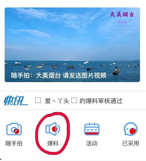 最新记者爆料小程序,实时追踪热点事件，深度解析幕后真相”