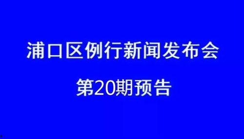 安居育才爆料新闻视频大全,新闻视频大全背后的故事与真相
