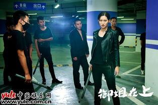 御姐在上在线观看,激情燃烧的青春岁月
