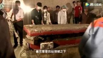 屠宰最新爆料新闻报道,屠宰行业惊人内幕曝光