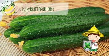 吃瓜的网站免费推荐