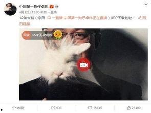男子爆料自己出轨视频大全,揭秘婚姻背叛瞬间