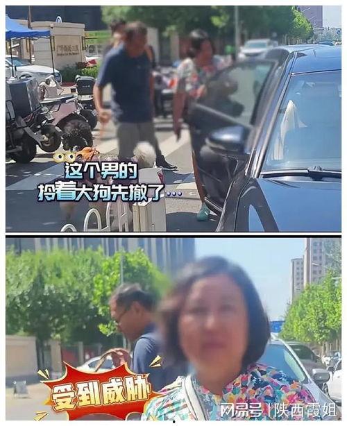 路见不平真实爆料视频,揭秘真实爆料视频背后的正义之战