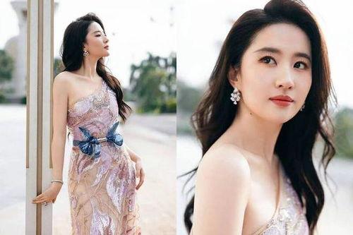 关于女星最新爆料的小说,揭秘女星背后的惊人真相