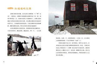 南极最新爆料新闻网站,神秘冰原下的惊人发现！