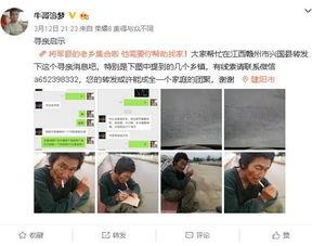 牛哥最新爆料新闻直播,最新爆料新闻直播精彩瞬间