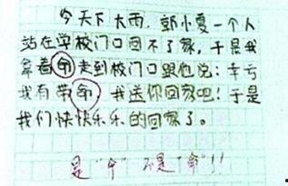 熊孩子作文爆料视频,视频走红网络