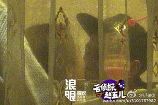 杨紫狗仔爆料视频大全集,揭秘明星幕后生活瞬间