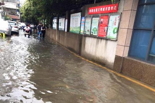 解放路学校爆料案件最新,真相大白，正义终将抵达”