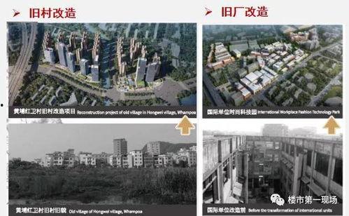 爆料惠州新闻最新,最新爆料揭示城市动态与民生焦点