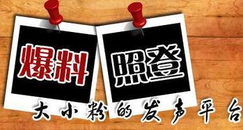 龙门新闻爆料,揭秘龙门镇最新动态与热点事件