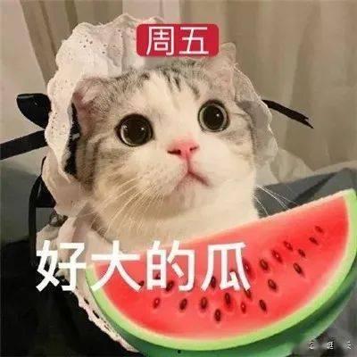 吃瓜网红两字网名大全,那些以“吃瓜”为名的网络红人