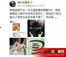 主播黄鳝视频在线观看,揭秘网络红人的魅力与争议