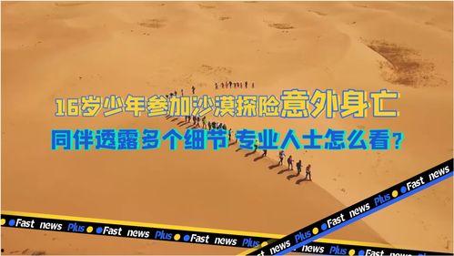 探险中国爆料了吗视频播放,揭秘神秘视频背后的精彩故事