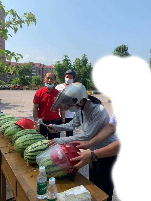 吃瓜网红事件镇平,揭秘网络舆论背后的真相与反思