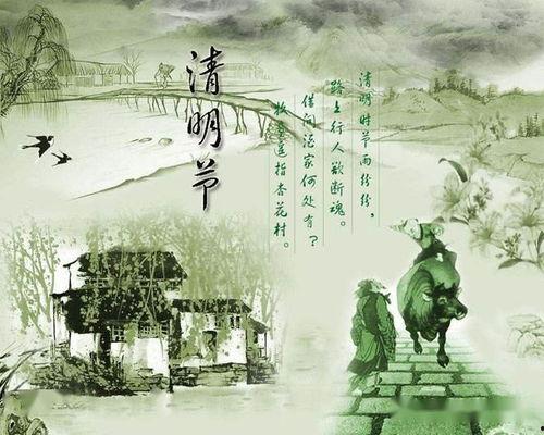 清明技能爆料怎么用的视频,揭秘视频中的实用技巧解析