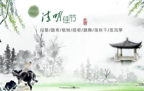 清明技能爆料怎么用的视频,揭秘视频中的实用技巧解析