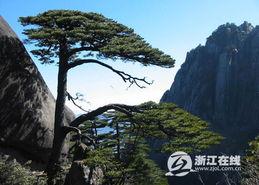 黄山同城最新爆料新闻,揭秘黄山同城热点事件背后的真相