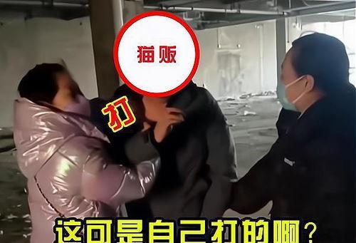 苏州爆料视频,城市生活新视角