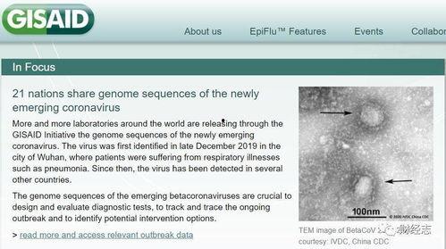 爆料美国病毒最新消息,疫情反弹与防控措施再升级！
