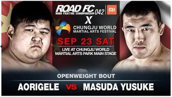 敖日格乐最新爆料,娱乐圈背后的惊人真相