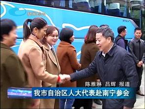 柳州大哥爆料新闻视频大全,新闻视频大全精彩回顾