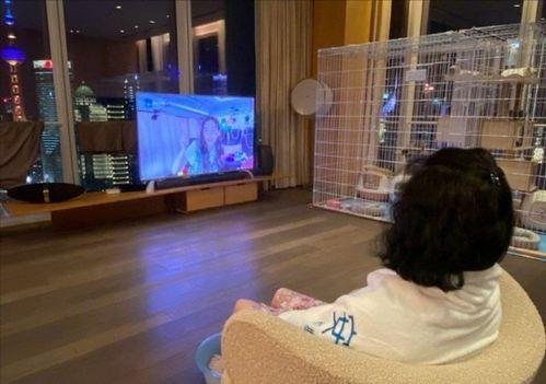 拍戏跑到别的酒店爆料视频,演员深夜入住神秘酒店