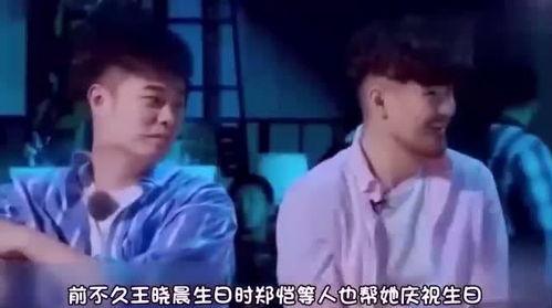 郑恺节目陈赫爆料视频,揭秘娱乐圈背后的故事