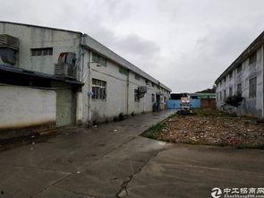 东莞狮岭镇最新爆料,揭秘神秘事件背后的真相