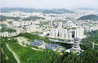 东莞狮岭镇最新爆料,揭秘神秘事件背后的真相