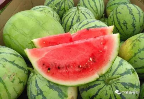 2019网红吃瓜,盘点年度热门事件与幕后真相