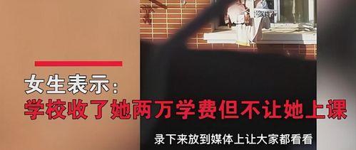 黑网爆料事件视频完整版,揭秘视频完整版背后的惊人真相