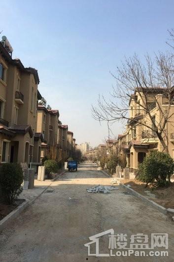 邢台楼盘爆料信息最新消息,揭秘热门项目动态与价格走势