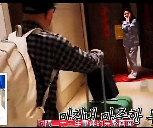 子豪爸爸爆料视频,家庭生活幕后真相