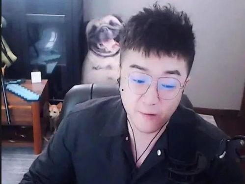 小洲爆料阿哲完整版视频,揭秘背后真相与情感纠葛