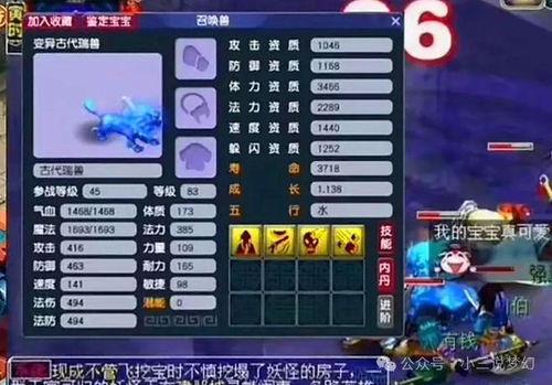 梦幻5月最新爆料视频,新内容、新玩法，梦幻世界焕然一新！