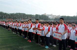 南宫一中爆料新闻,校园新鲜事速递