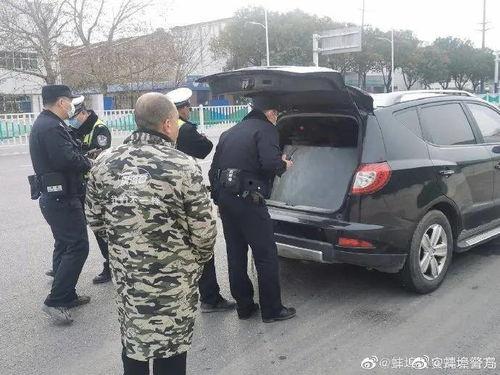 蚌埠爆料交警事件视频播放,真相与争议交织