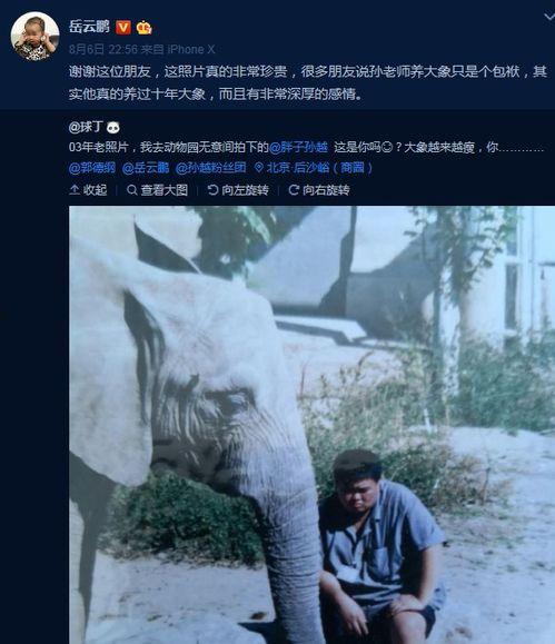 岳云鹏爆料大象视频,揭秘娱乐圈幕后真相